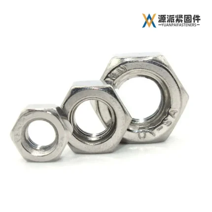 Stainless Steel Nuts