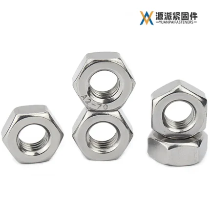 Stainless Steel Nuts